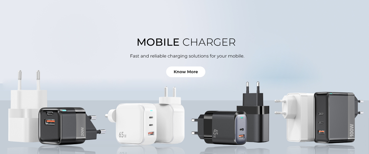 52V 2.4A Power Adapter
